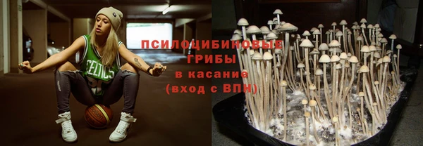 ГАЛЛЮЦИНОГЕННЫЕ ГРИБЫ Кодинск