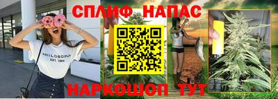 молекула духа Коммунар
