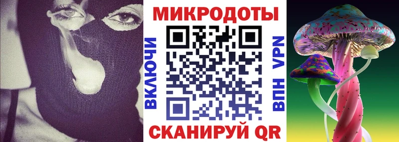 Галлюциногенные грибы Cubensis  купить наркотики сайты  Хасавюрт 