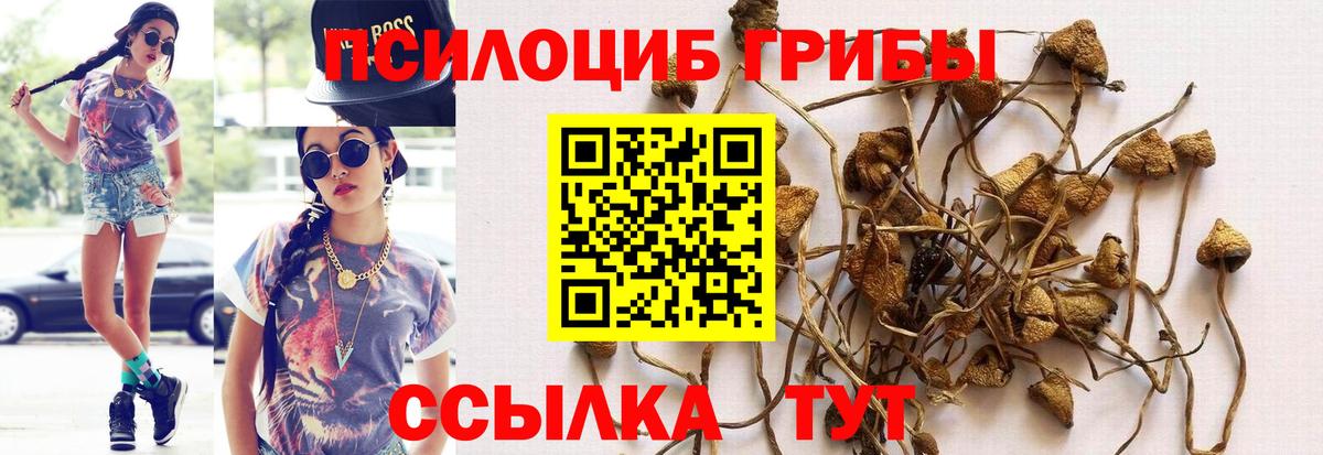 сколько стоит  Галлюциногенные грибы мухоморы  Хасавюрт  Вход с VPN  Галлюциногенные грибы GOLDEN TEACHER 